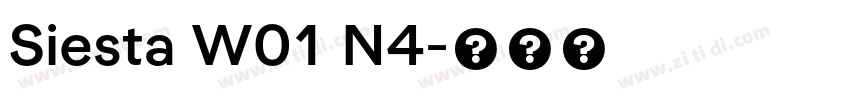 Siesta W01 N4字体转换